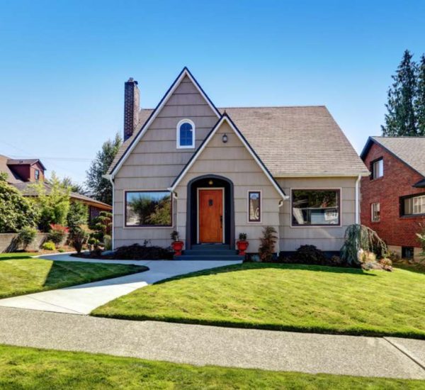 Top Nest By Choice Ideas for Homes