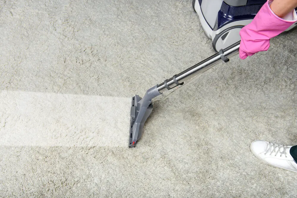 Preventing Mold & Mildew Buildup in Basement Carpets: Specialized Carpet Cleaning Service in Shelby Township, MI